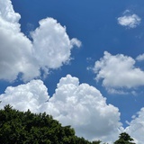 Cloud in wind
