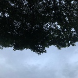 木一女