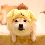 小瓜小小瓜