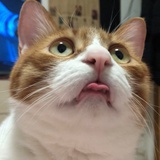 贝小七