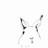 陶理儿