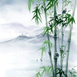 江边竹影