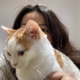 猫xinxin