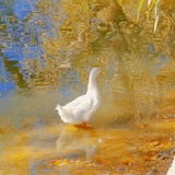 穿过骨头抚摸你