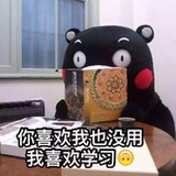 我只喜欢学习