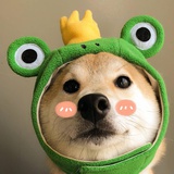 ok绷