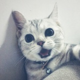 Lil Cpaw