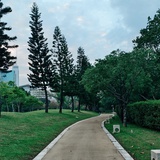 白马