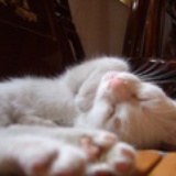 ~milk~