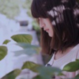 灰细粒