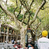路人甲