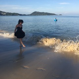 肥胖症的兔子