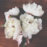 菅理员