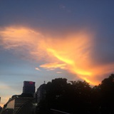 刘坏
