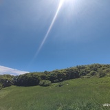 秦时兆