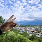 终南来信