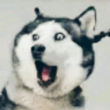 白日梦蓝