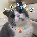 豆豉yy
