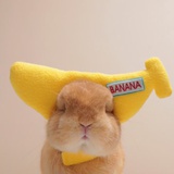 ᙏ̤ 🍌