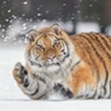 这里下小雨