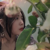 小王子