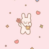 小透几🍪