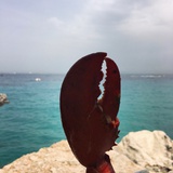 阿傻