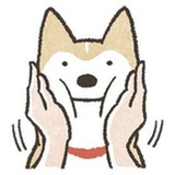居家狗生活笔记
