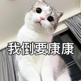 蔷薇下的少女