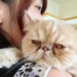 Lixi