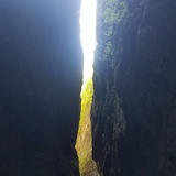 迷茫