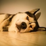yimun