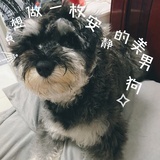 拔丝光年