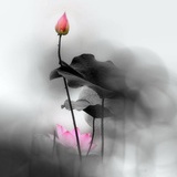 Miumiu_S