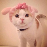 candy