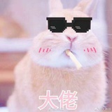 金真萌