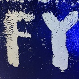 FY