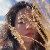 花与爱丽丝