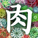 迷上肉肉