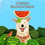 滚滚(●.●)