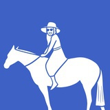 卡罗旅行
