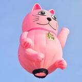 细卡卡