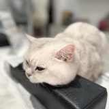 嗯