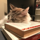 一一