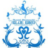 Blue bird