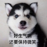 恐龙蛋·李