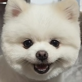 save