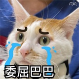 一个大西瓜Pro
