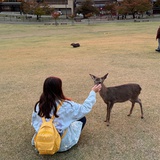 刘大川