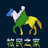 青海湖   老周